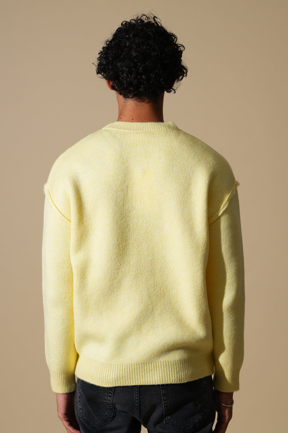 Pullover mit sichtbaren Nähten GL 2711