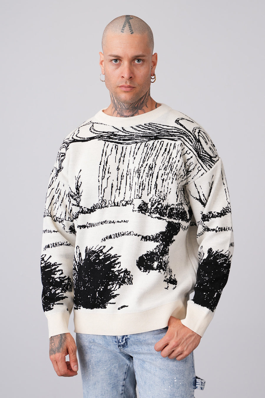 SWEATER LL5067