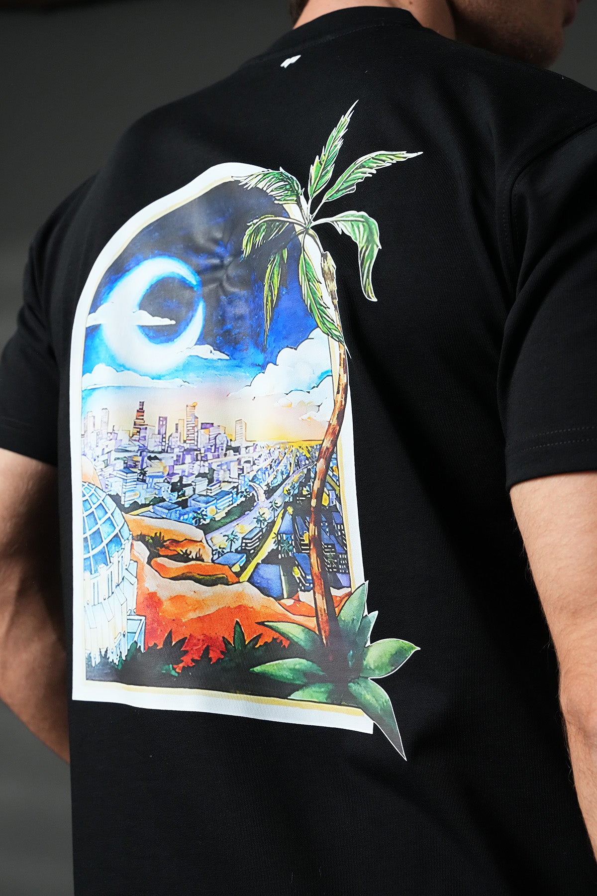 TEE SHIRT LL1100162