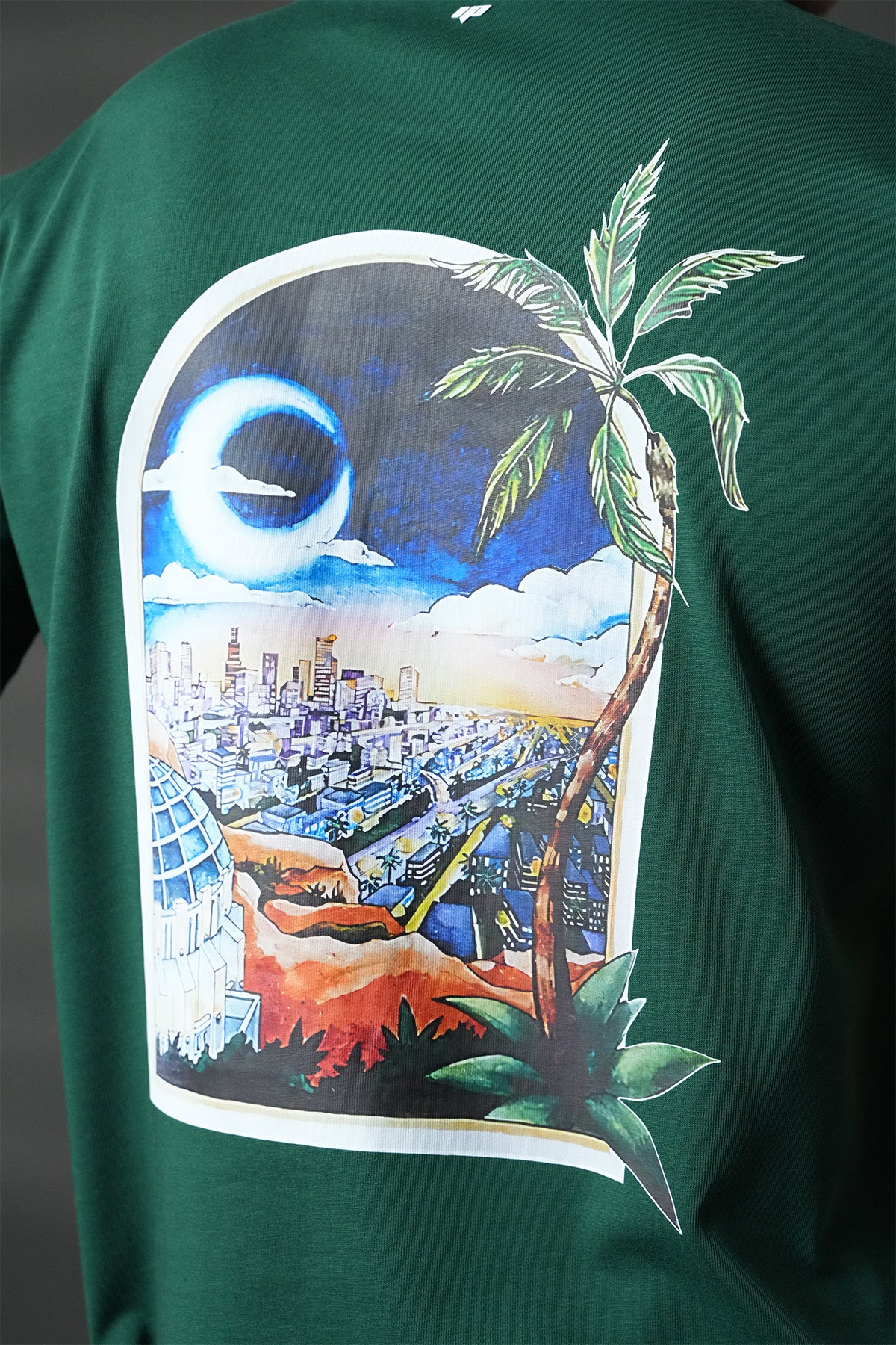 TEE SHIRT LL1100162