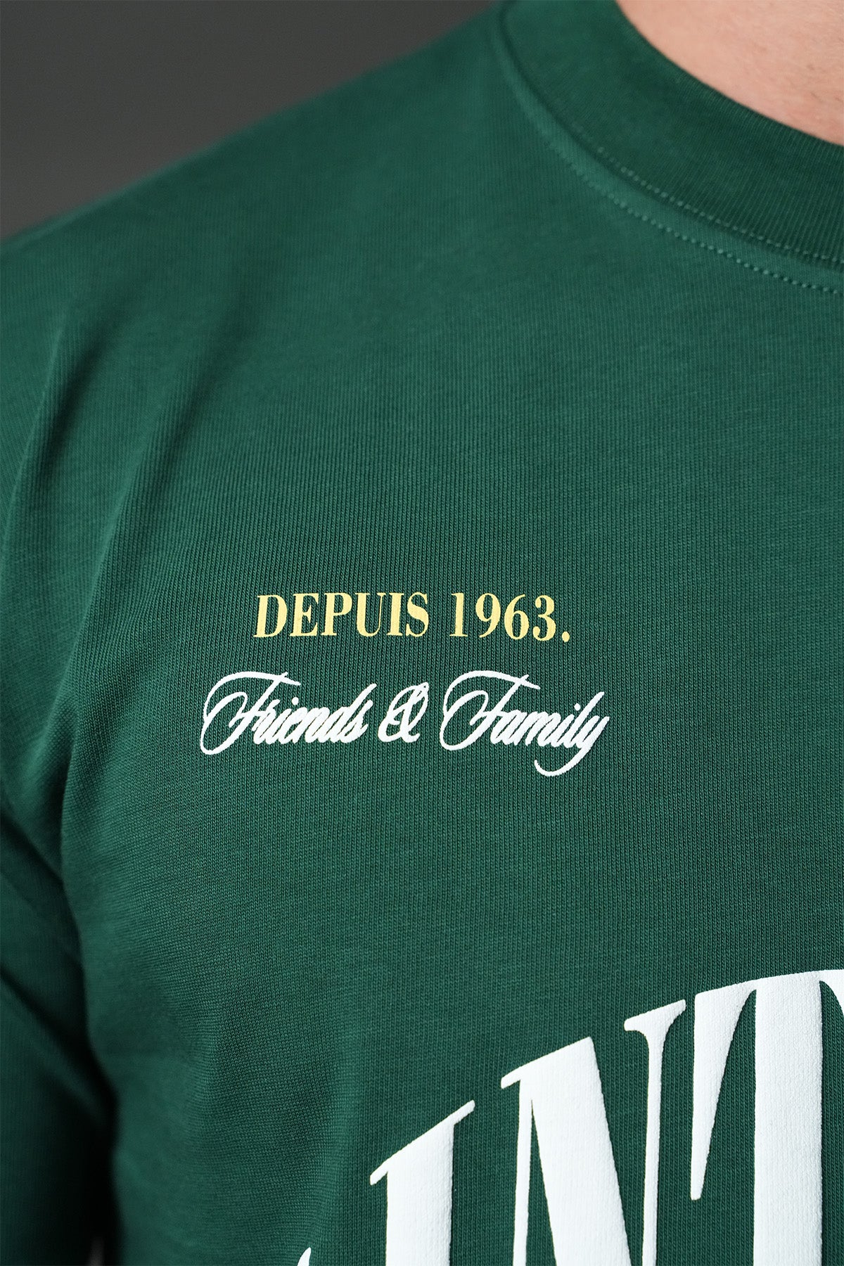 TEE SHIRT LL110074