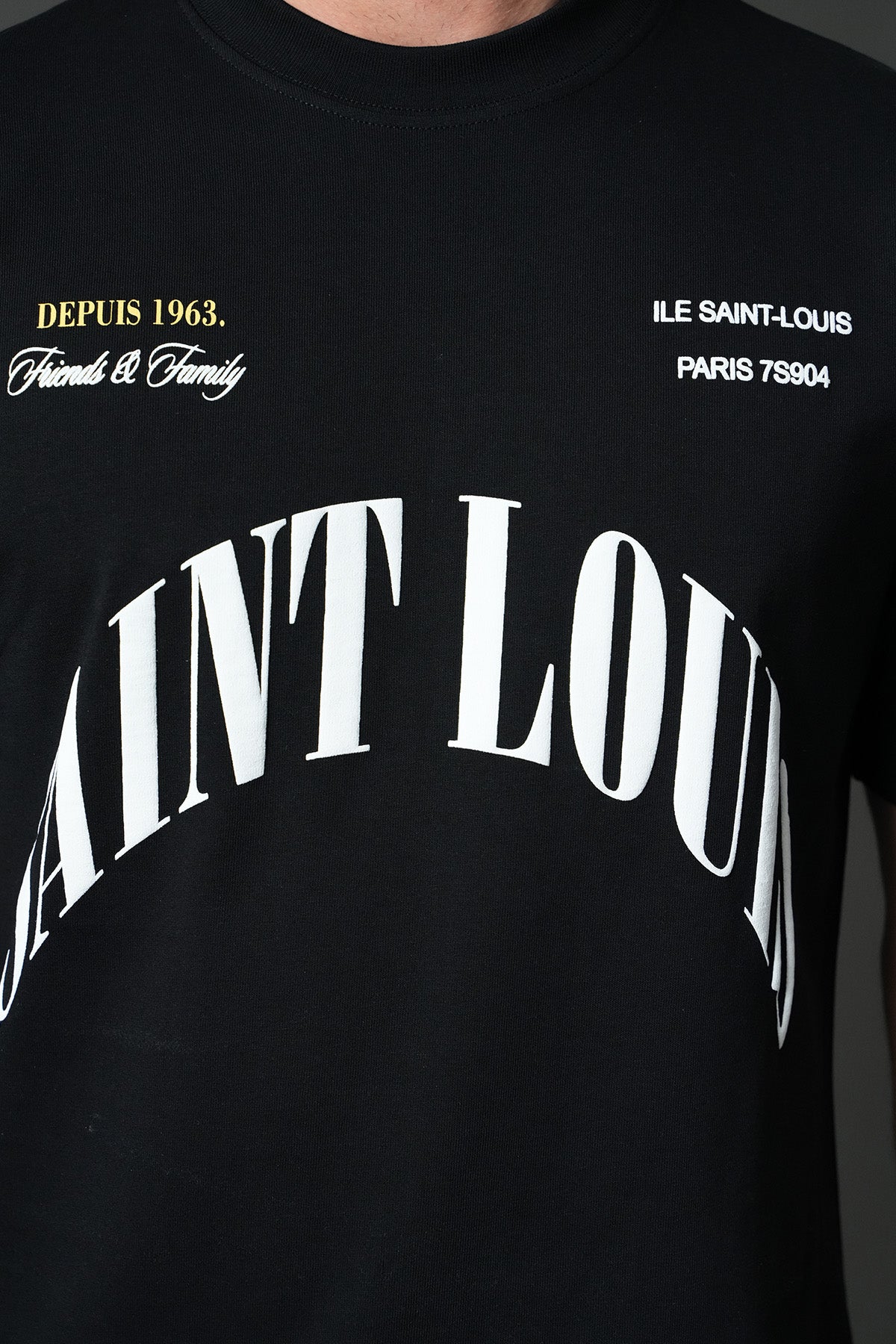 TEE SHIRT LL110074