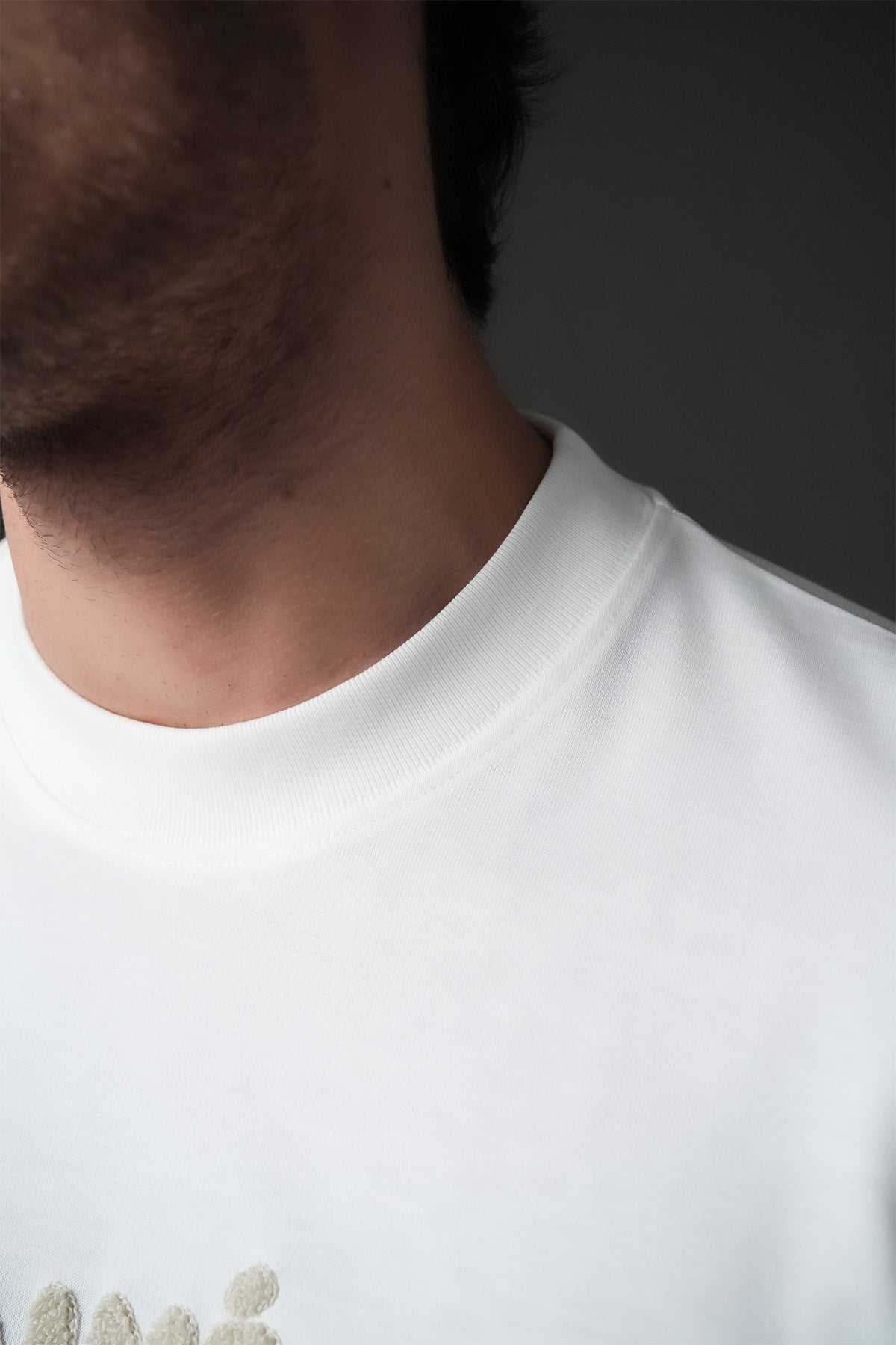 TEE SHIRT LL1100134