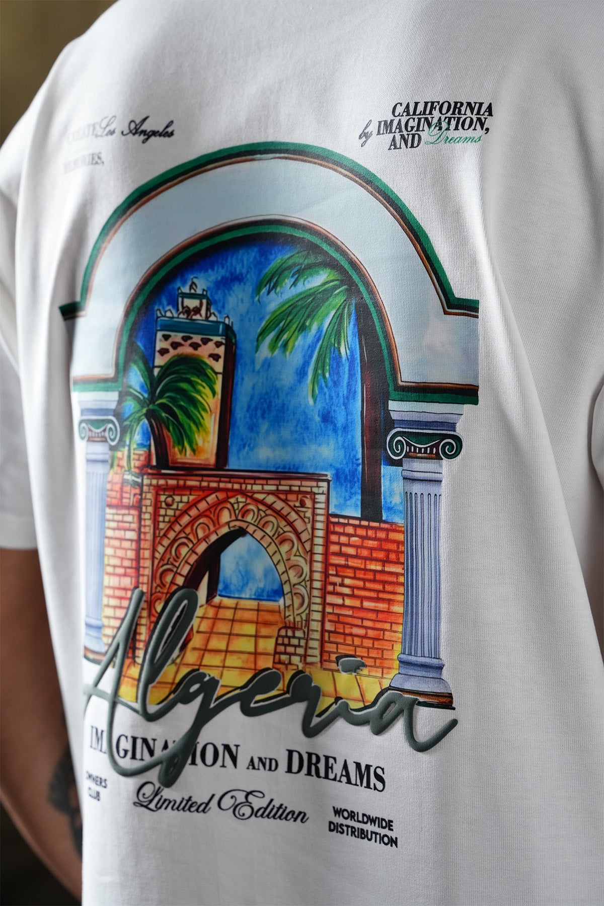 TEE SHIRT LL1100103
