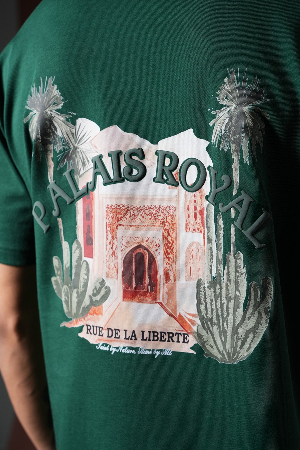 TEE SHIRT LL110064