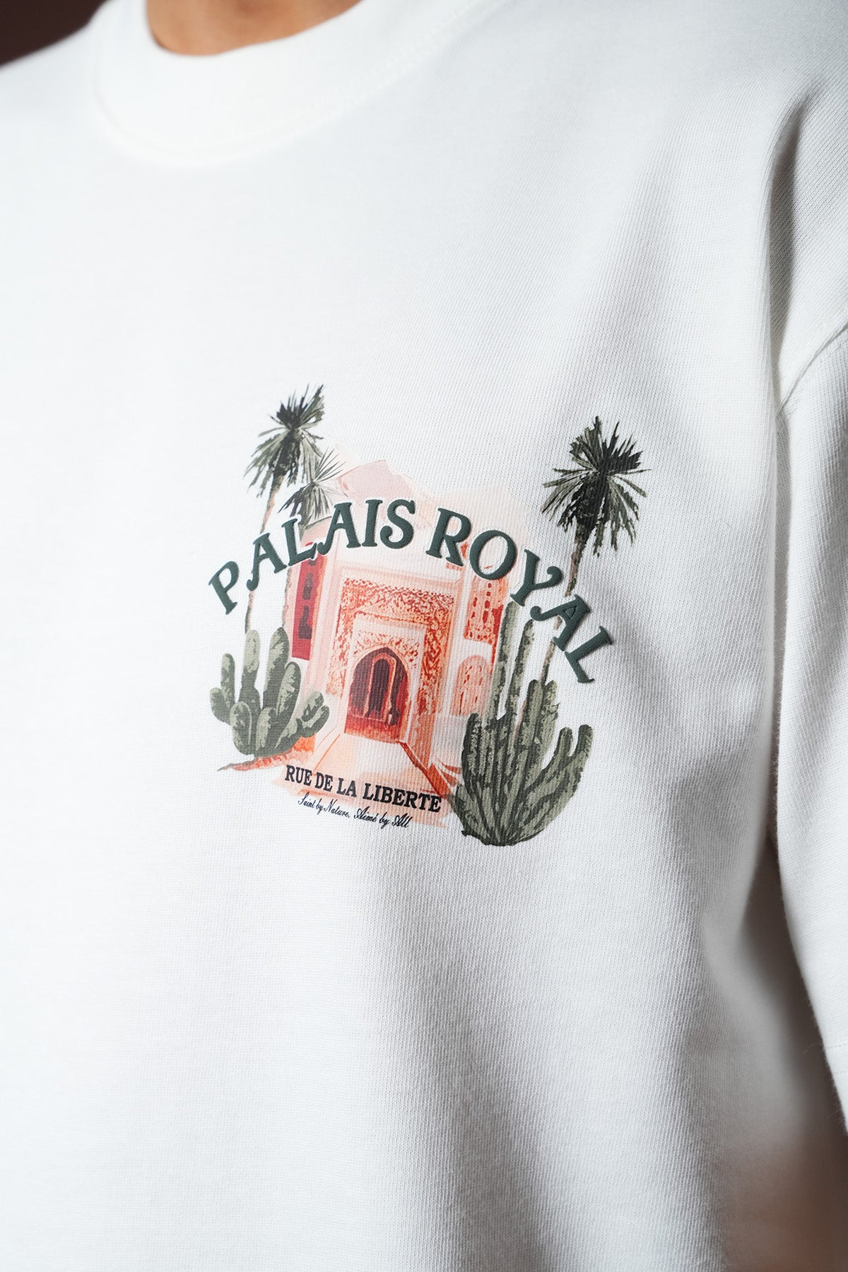 TEE SHIRT LL110064