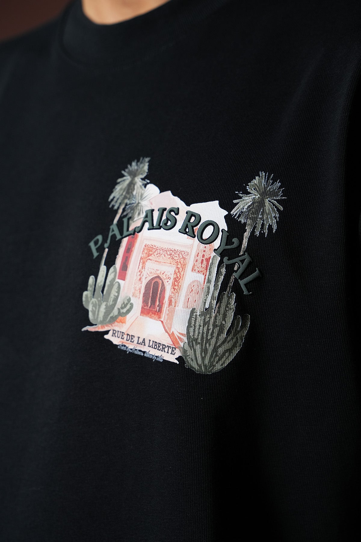 TEE SHIRT LL110064