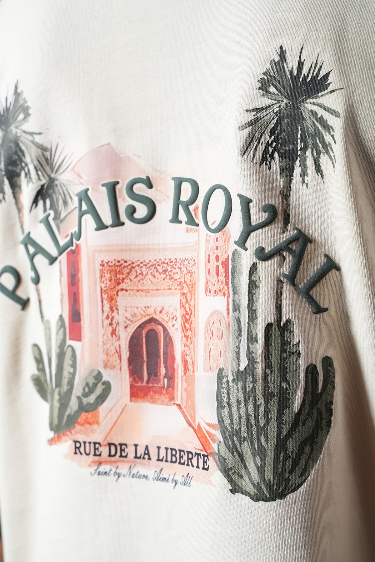 TEE SHIRT LL110064
