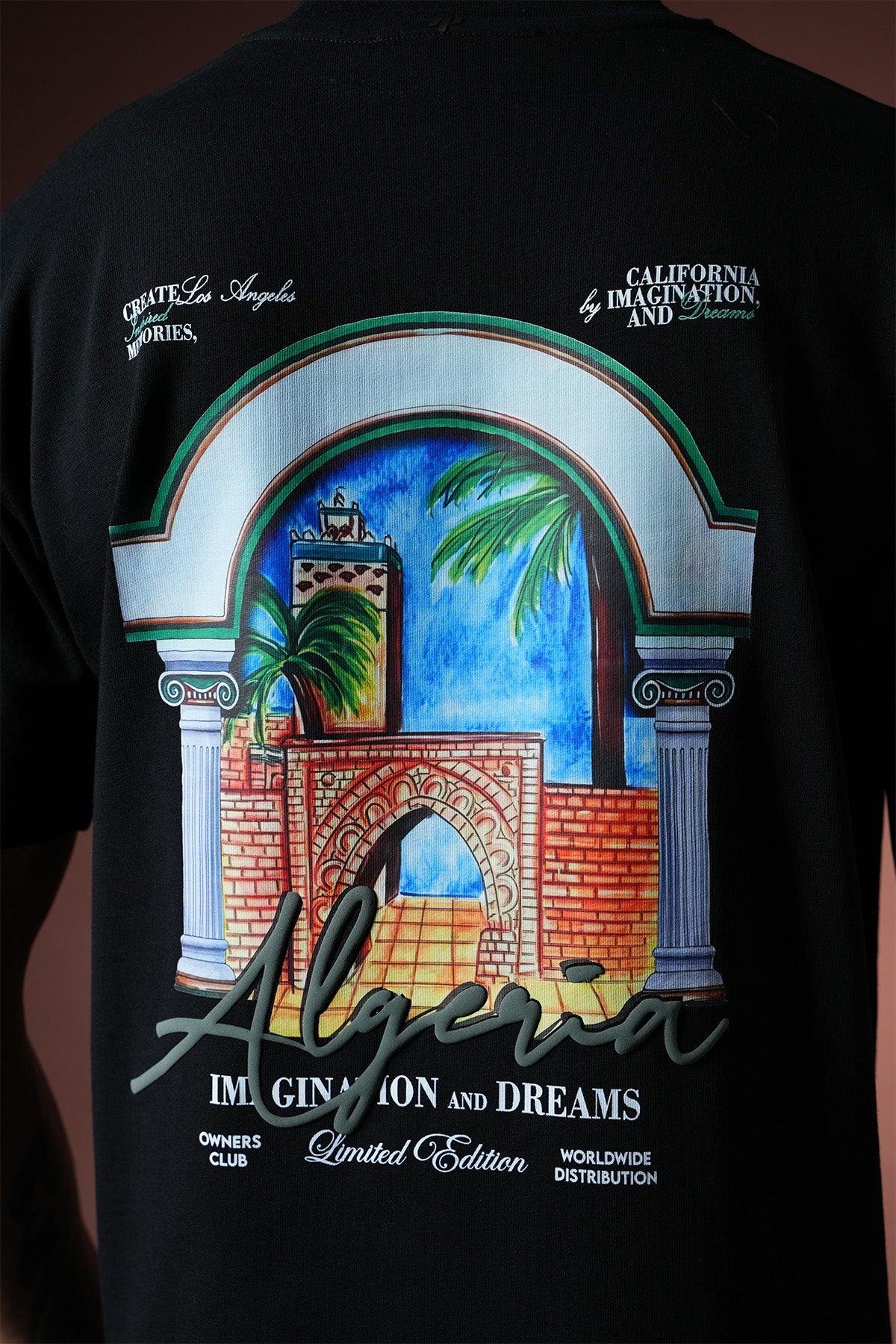 TEE SHIRT LL1100103