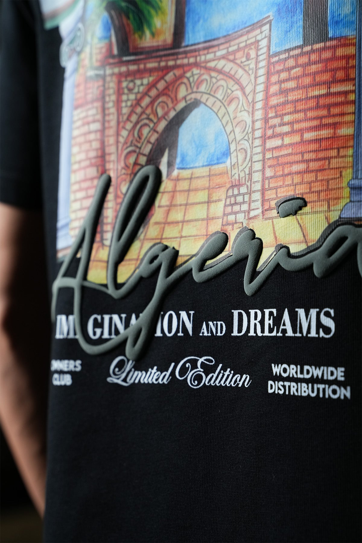 TEE SHIRT LL1100103