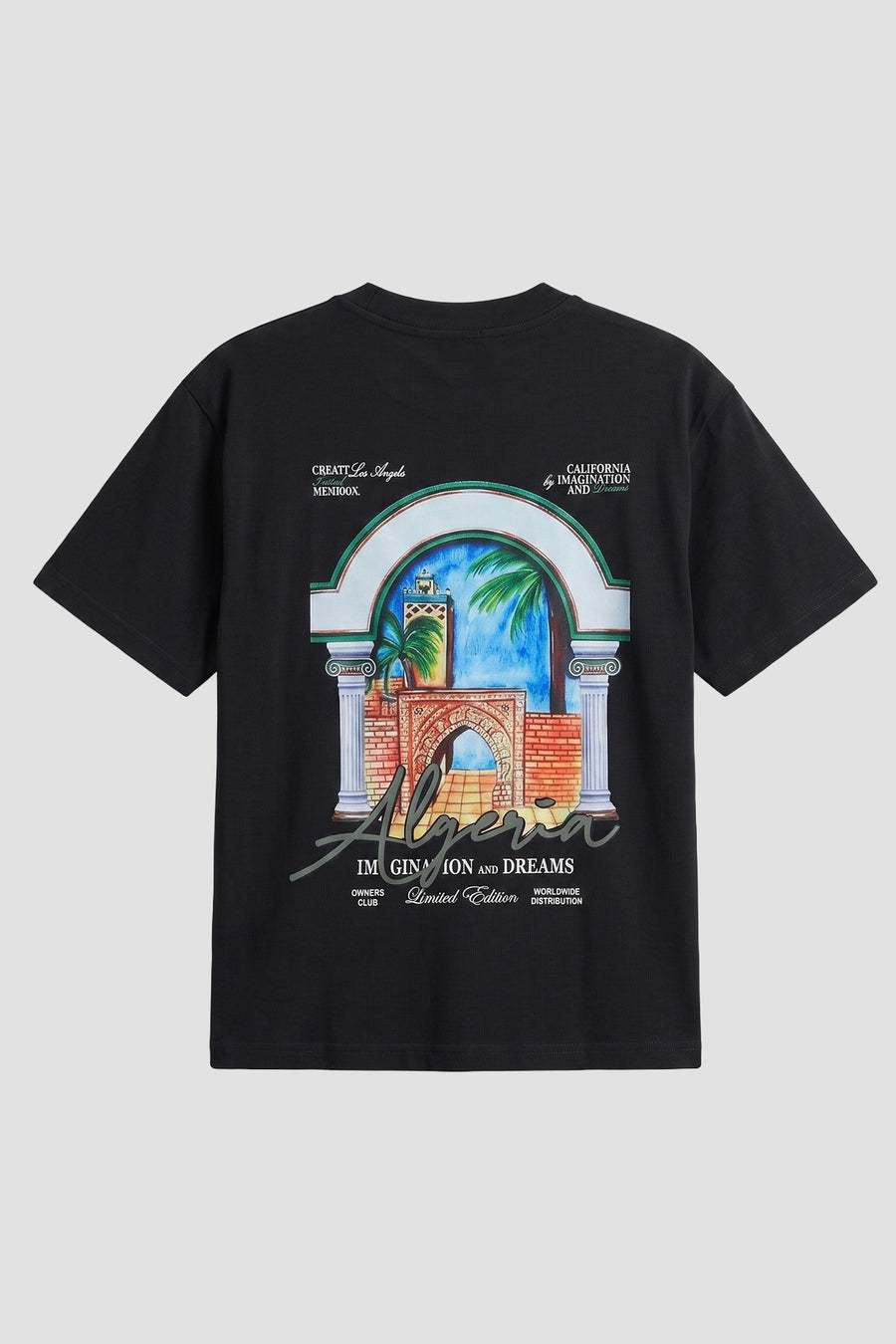 T-SHIRT LL1100103