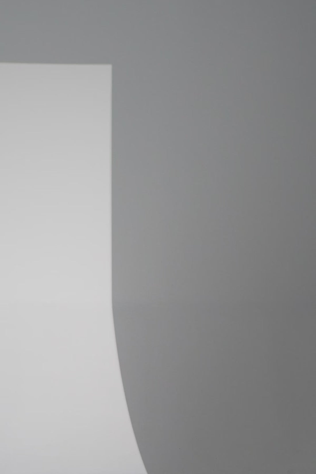 T-SHIRT LP2572